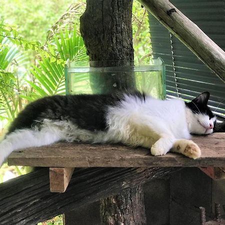 Chill Out Village Ao Nam Mao Εξωτερικό φωτογραφία