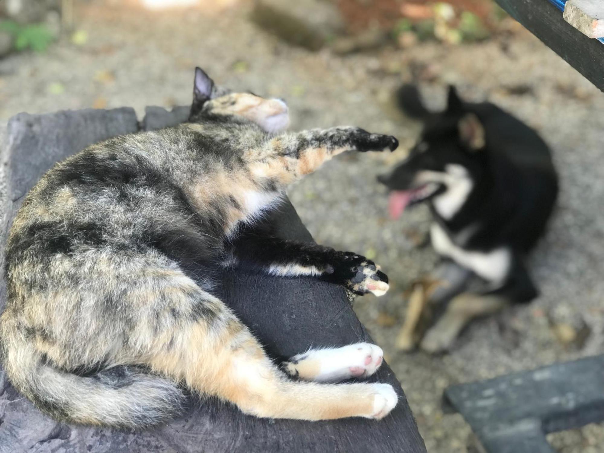 Chill Out Village Ao Nam Mao Εξωτερικό φωτογραφία