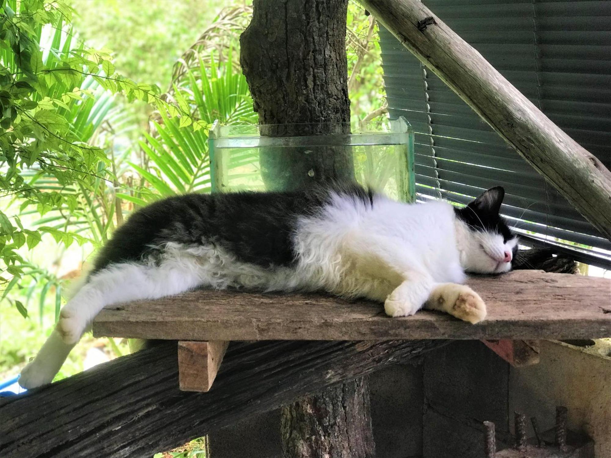 Chill Out Village Ao Nam Mao Εξωτερικό φωτογραφία