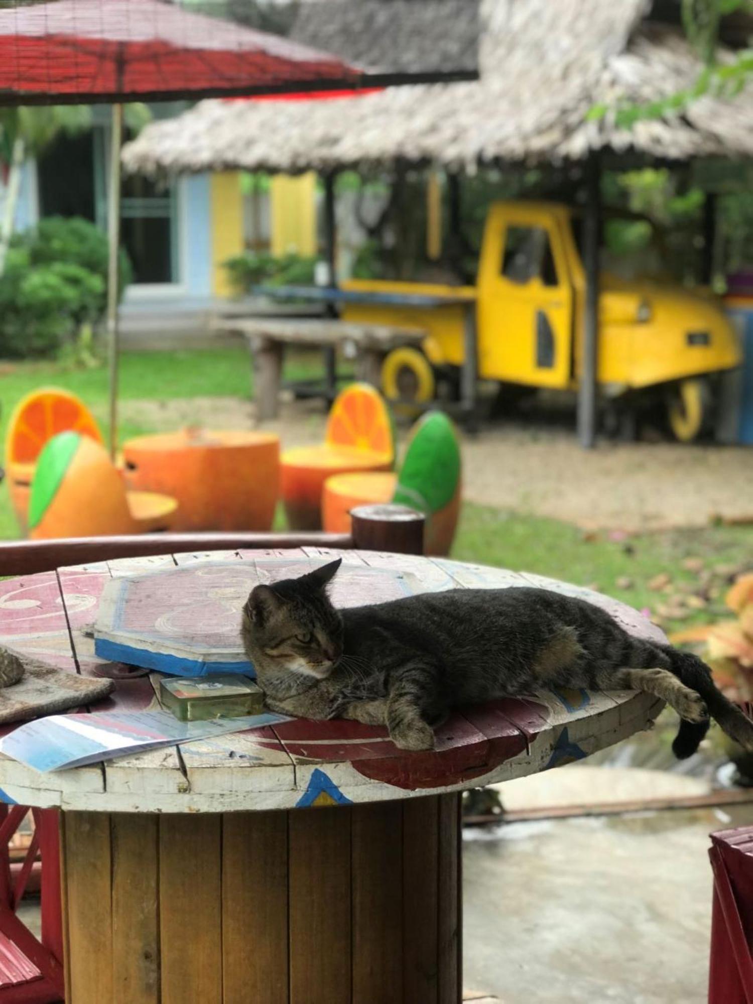 Chill Out Village Ao Nam Mao Εξωτερικό φωτογραφία